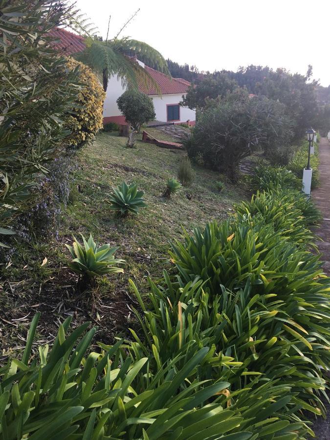 Bungalows Do Amparo Ponta do Pargo Esterno foto